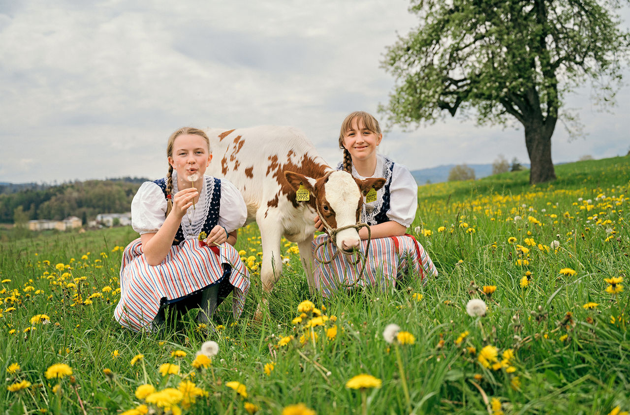 Zwei Mädchen im Feld mit Kuh. 