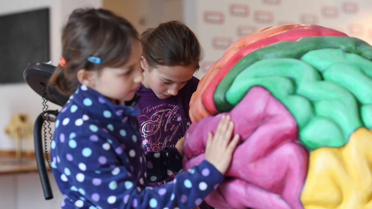 Zwei Kinder im Kulturama untersuchen ein Modell des menschlichen Gehirns.