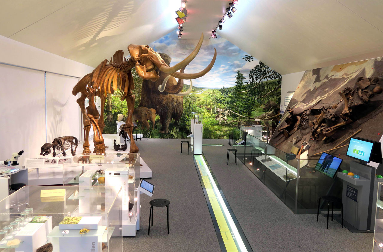 Wandbild und Skelette im Mammutmuseum Niederweningen