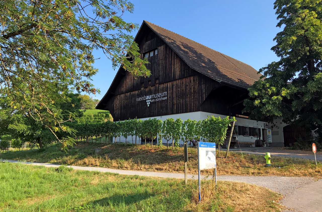 Gebäude des Weinbaumuseum auf der Halbinsel Au