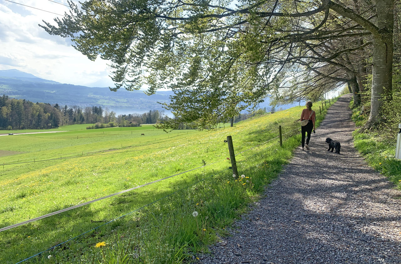 Eine Frau mit ihrem Hund spazieren auf dem Jakob Ess Weg neben einer grossen Wiese
