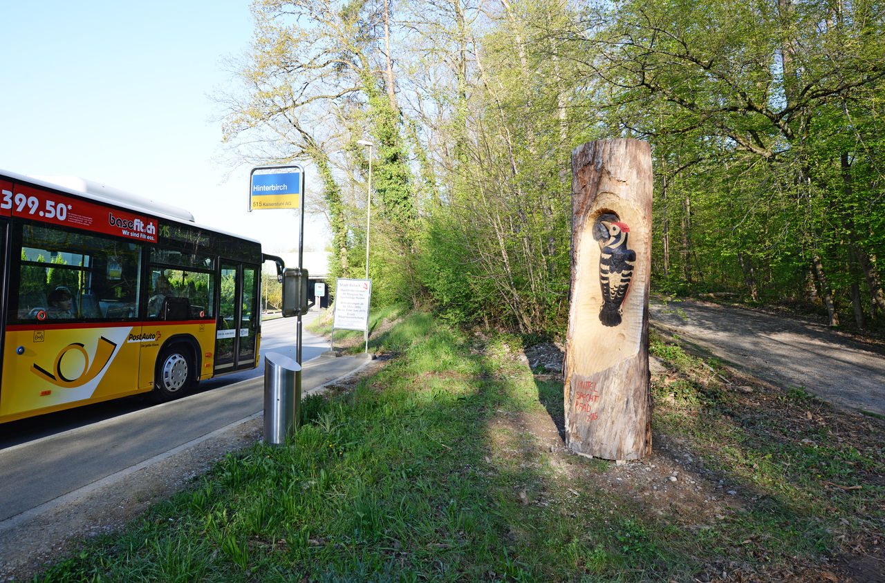 Der Themenweg Mittelspecht in Bülach ist bequem mit dem PostAuto erreichbar.