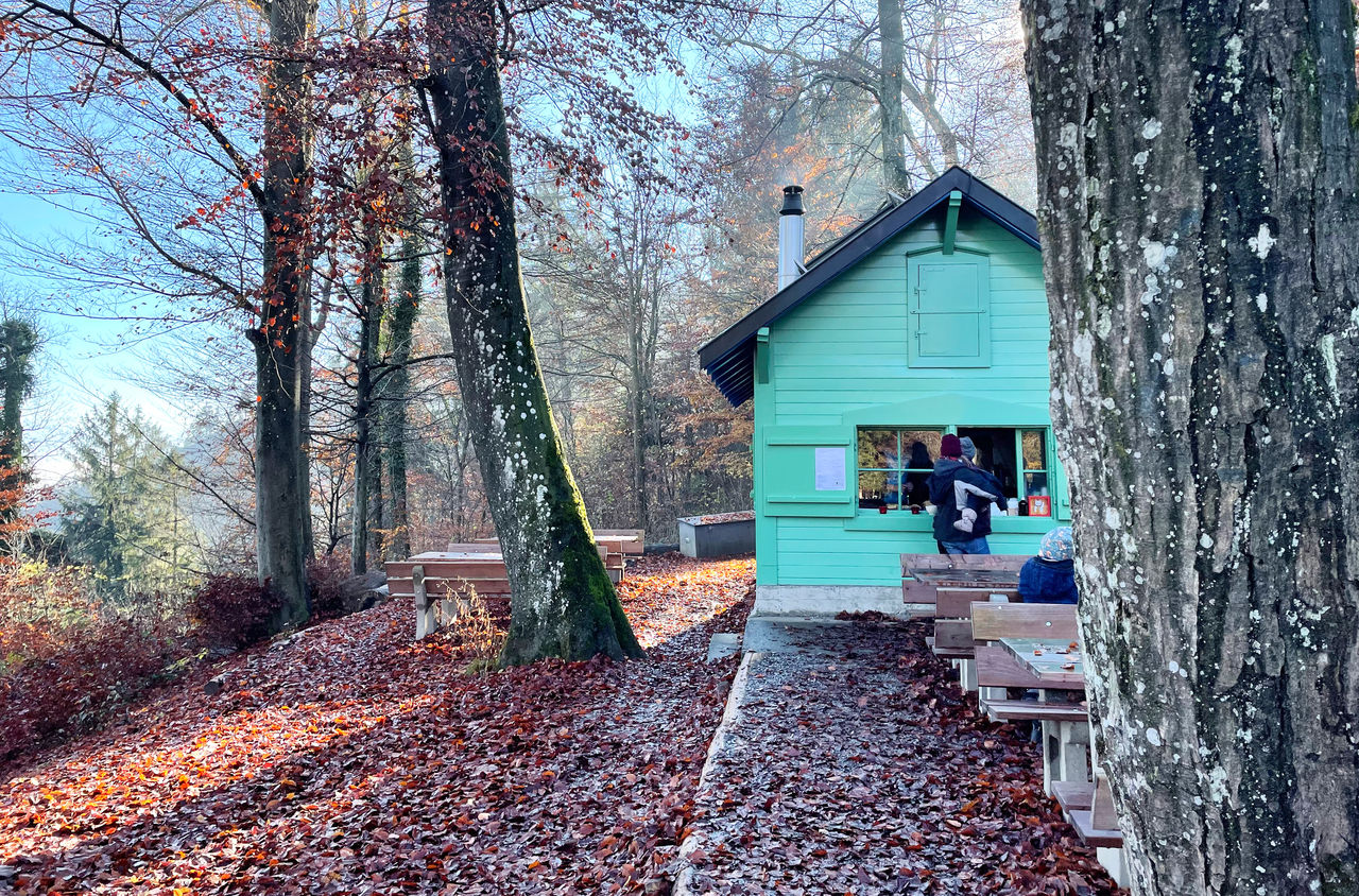 Eine kleine verschneite Hütte mittem im Wald mit Besucher auf der Terrasse