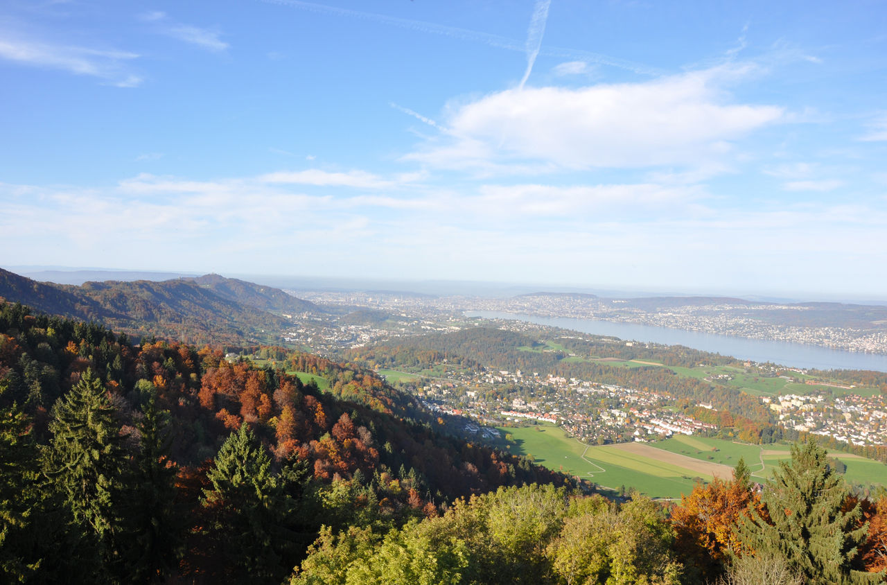 Aussicht über den herbstlich gefärbten Wald über den Zürichsee.