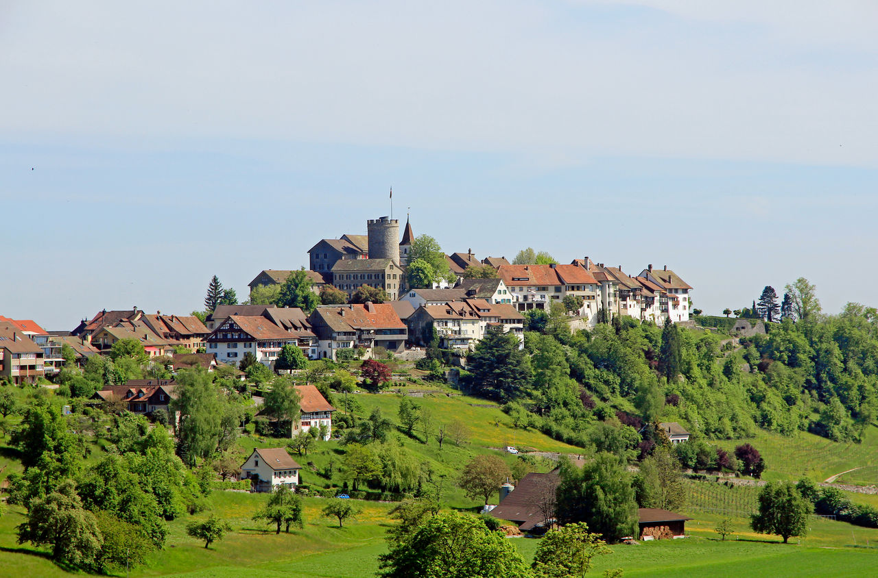 Altstadt auf einem Hügel, umgeben von viel Grün