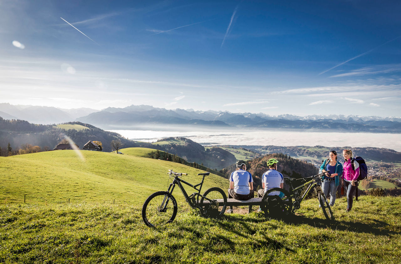 Wanderer und Velofahrer auf dem Wanderweg von Wald auf die Alp Scheidegg